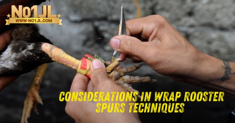 Considerations in Wrap Rooster Spurs Techniques