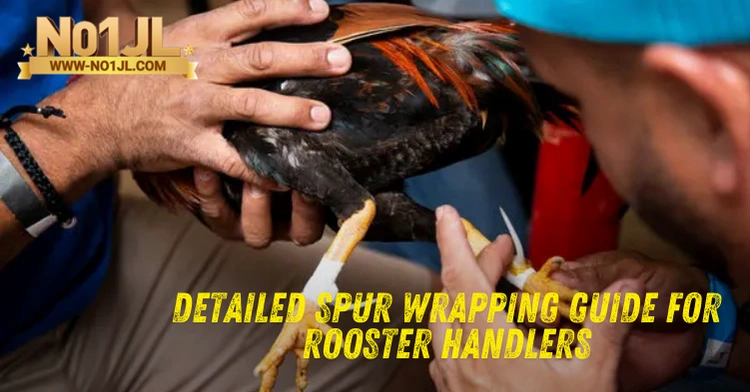 Detailed Spur Wrapping Guide for Rooster Handlers