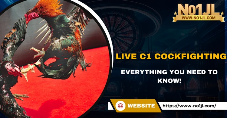 Live C1 Cockfighting – Everything You Need to Know!