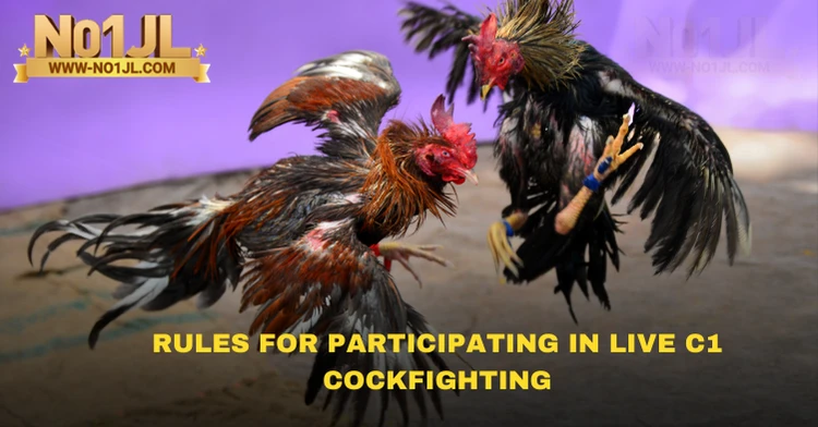 Rules for Participating in Live C1 cockfighting