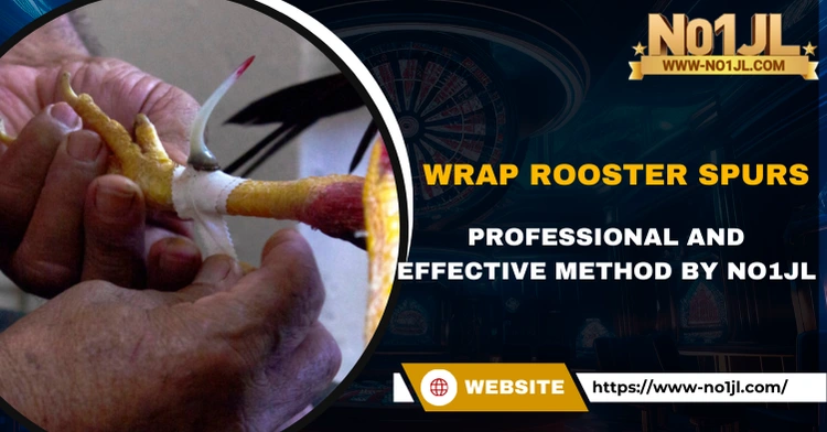 Wrap Rooster Spurs: Professional and Effective Method by NO1JL